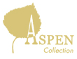Aspen wig's and hairpieces